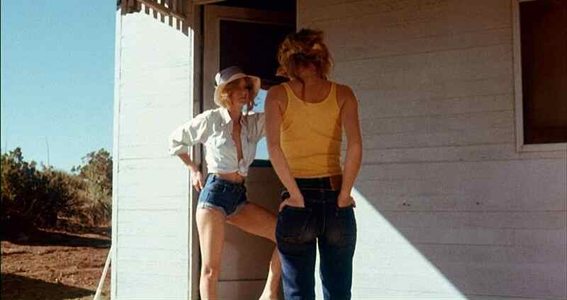 The Great Texas Dynamite Chase (1976) Screenshot 4