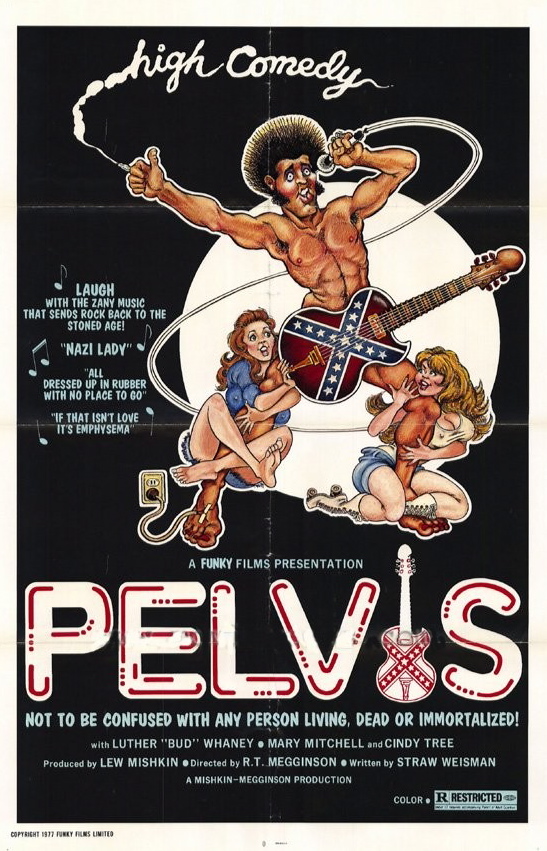 Pelvis (1977) Screenshot 1