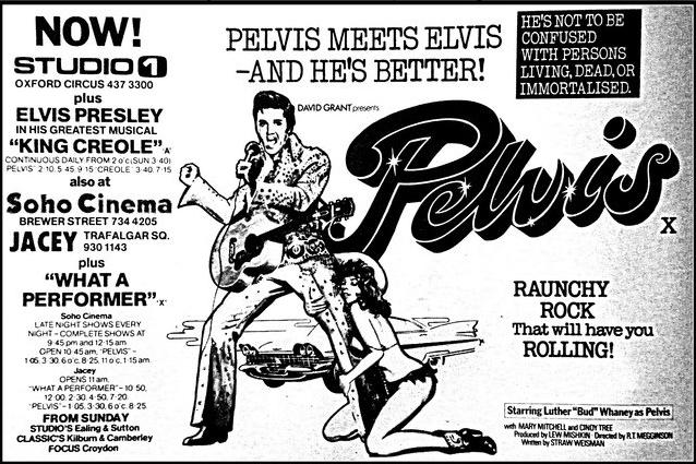 Pelvis (1977) Screenshot 2