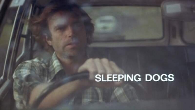 Sleeping Dogs (1977) Screenshot 5