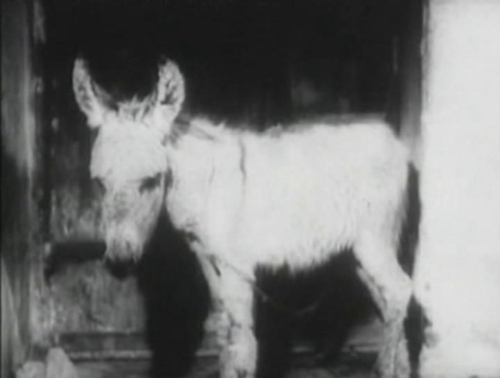 Donkey in a Brahmin Village (1977) Screenshot 2