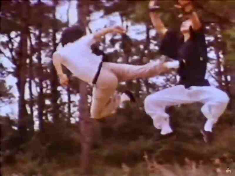 Shen long xiao hu chuang jiang hu (1974) Screenshot 2