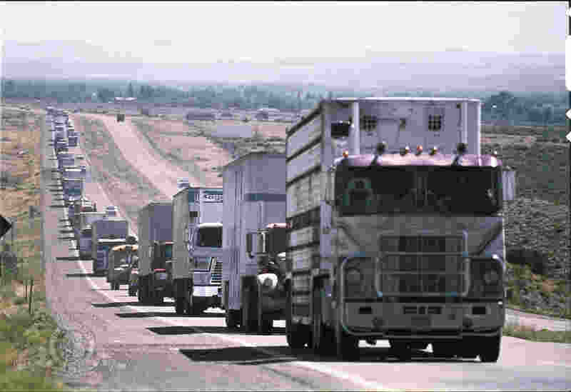 Convoy (1978) Screenshot 4