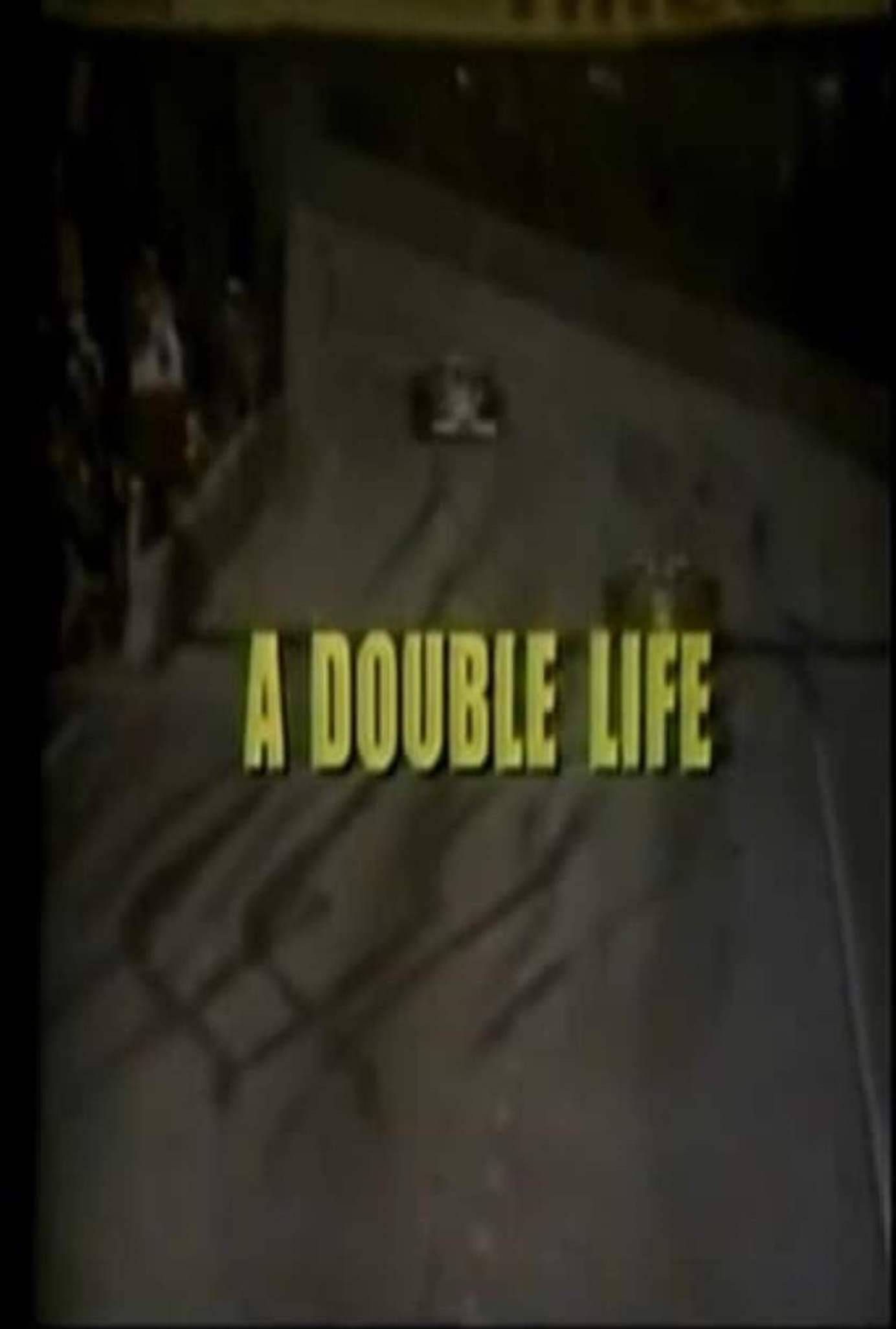 A Double Life (1978) starring J.D. Cannon on DVD on DVD