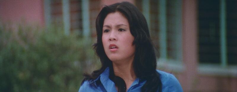Enter the Fat Dragon (1978) Screenshot 3