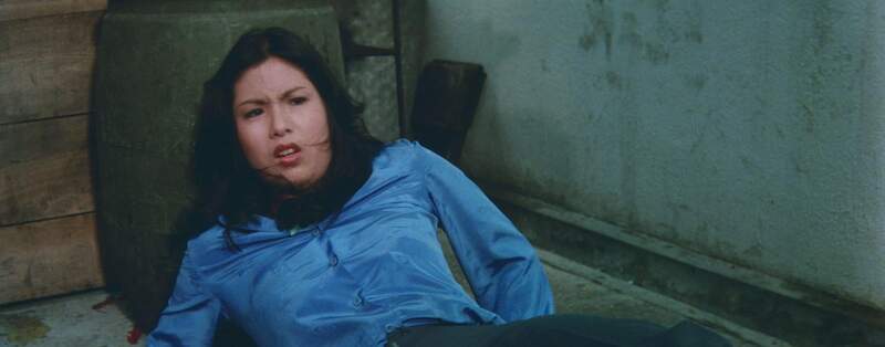 Enter the Fat Dragon (1978) Screenshot 4
