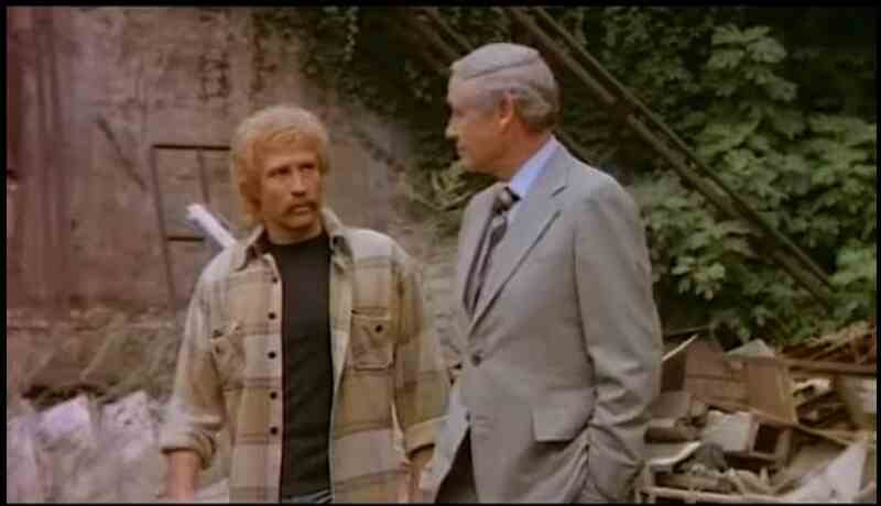 I gabbiani volano basso (1978) Screenshot 1