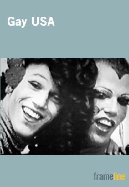 Gay USA (1977) Screenshot 2