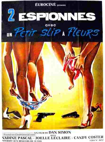 Two Female Spies with Flowered Panties (1980) Screenshot 5
