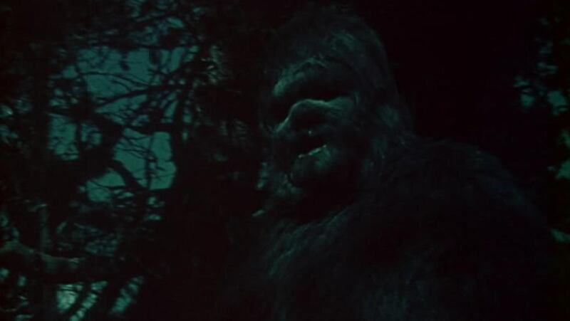 Sasquatch: The Legend of Bigfoot (1976) Screenshot 5