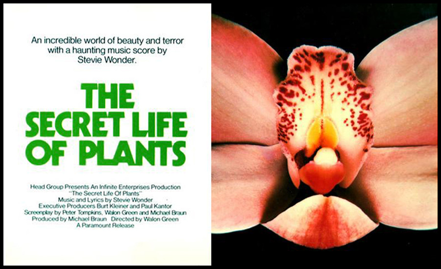 The Secret Life of Plants (1978) Screenshot 4