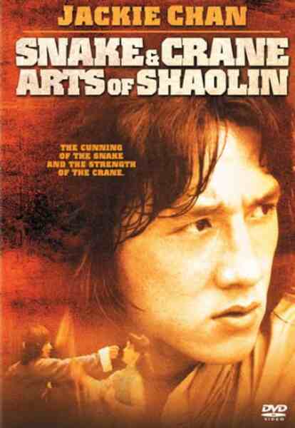 Snake and Crane Arts of Shaolin (1978) Screenshot 1