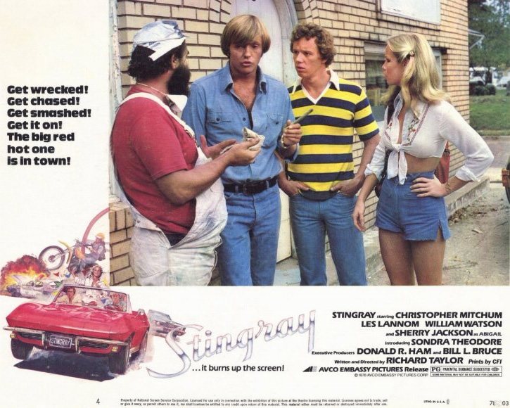 Stingray (1978) Screenshot 1