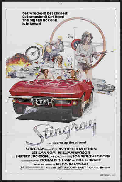 Stingray (1978) starring Christopher Mitchum on DVD on DVD