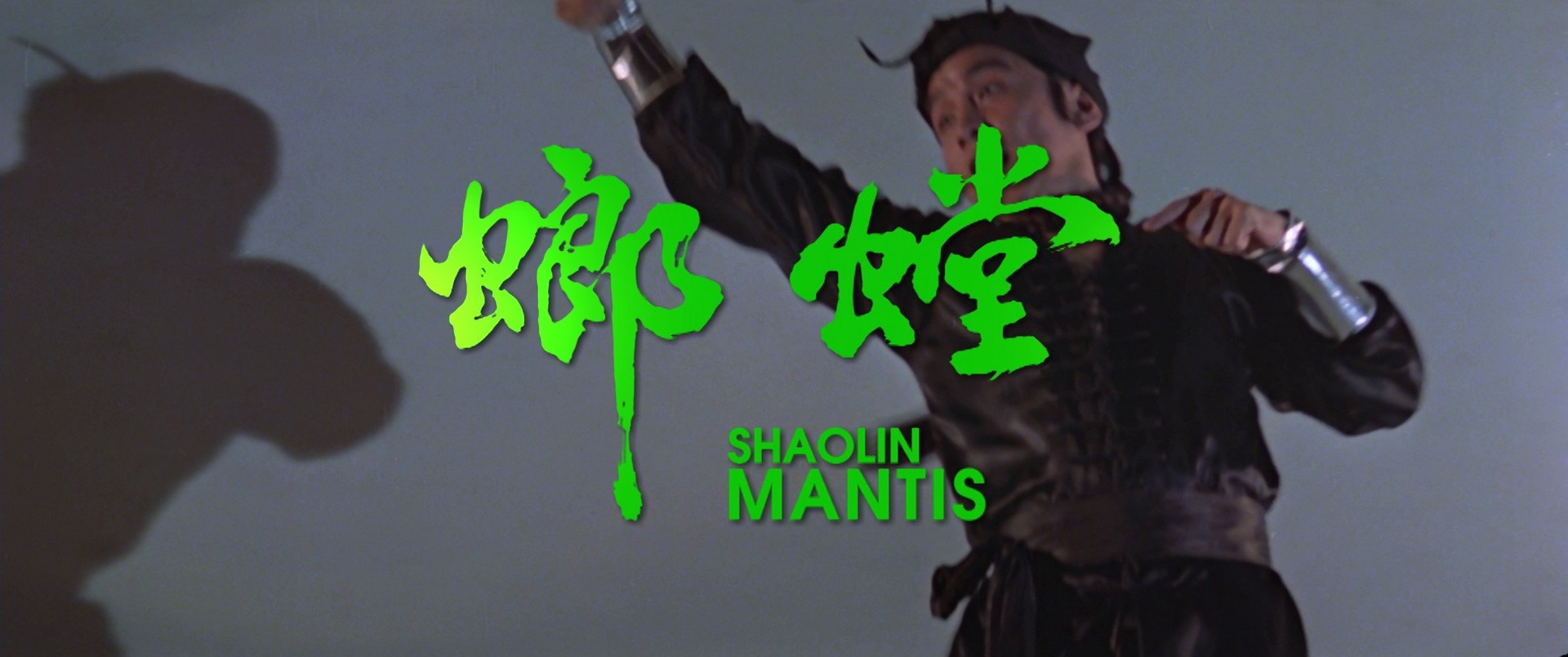 Shaolin Mantis (1978) Screenshot 1 