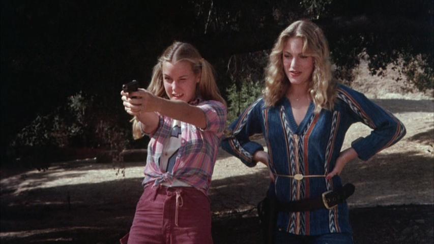 Angels' Brigade (1979) Screenshot 2 