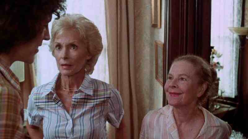Boardwalk (1979) Screenshot 3