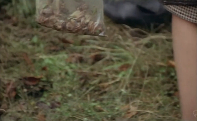 Caniche (1979) Screenshot 2