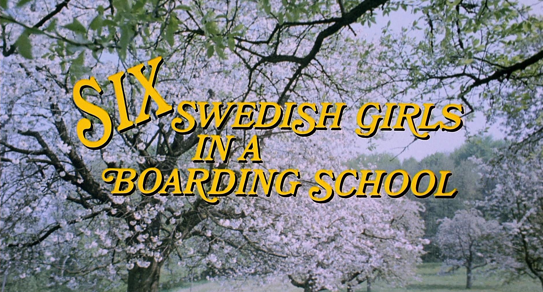 Six Swedish Girls in a Boarding School (1979) Screenshot 1 