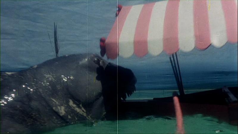 Up from the Depths (1979) Screenshot 1