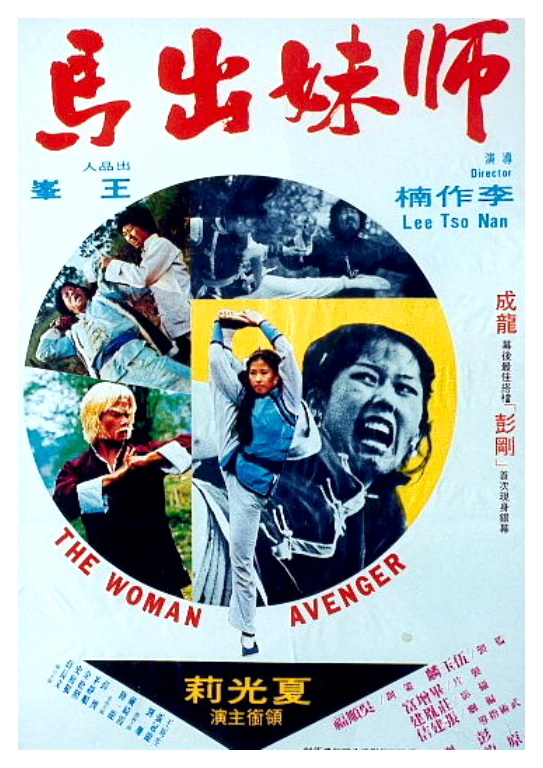 Woman Avenger (1980) with English Subtitles on DVD on DVD