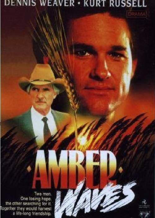 Amber Waves (1980) starring Dennis Weaver on DVD on DVD