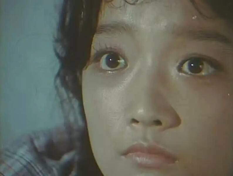 Ba Shan Ye Yu (1980) with English Subtitles on DVD DVD Evening Rain (1980) Screenshot 4