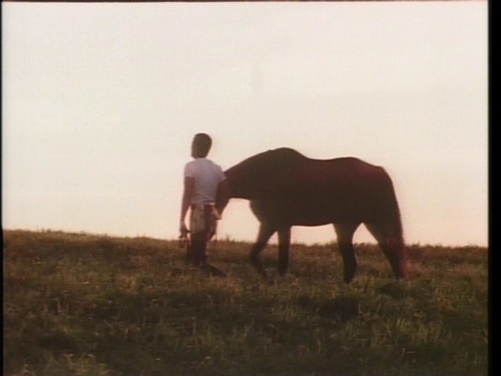 A Distant Cry from Spring (1980) Screenshot 5