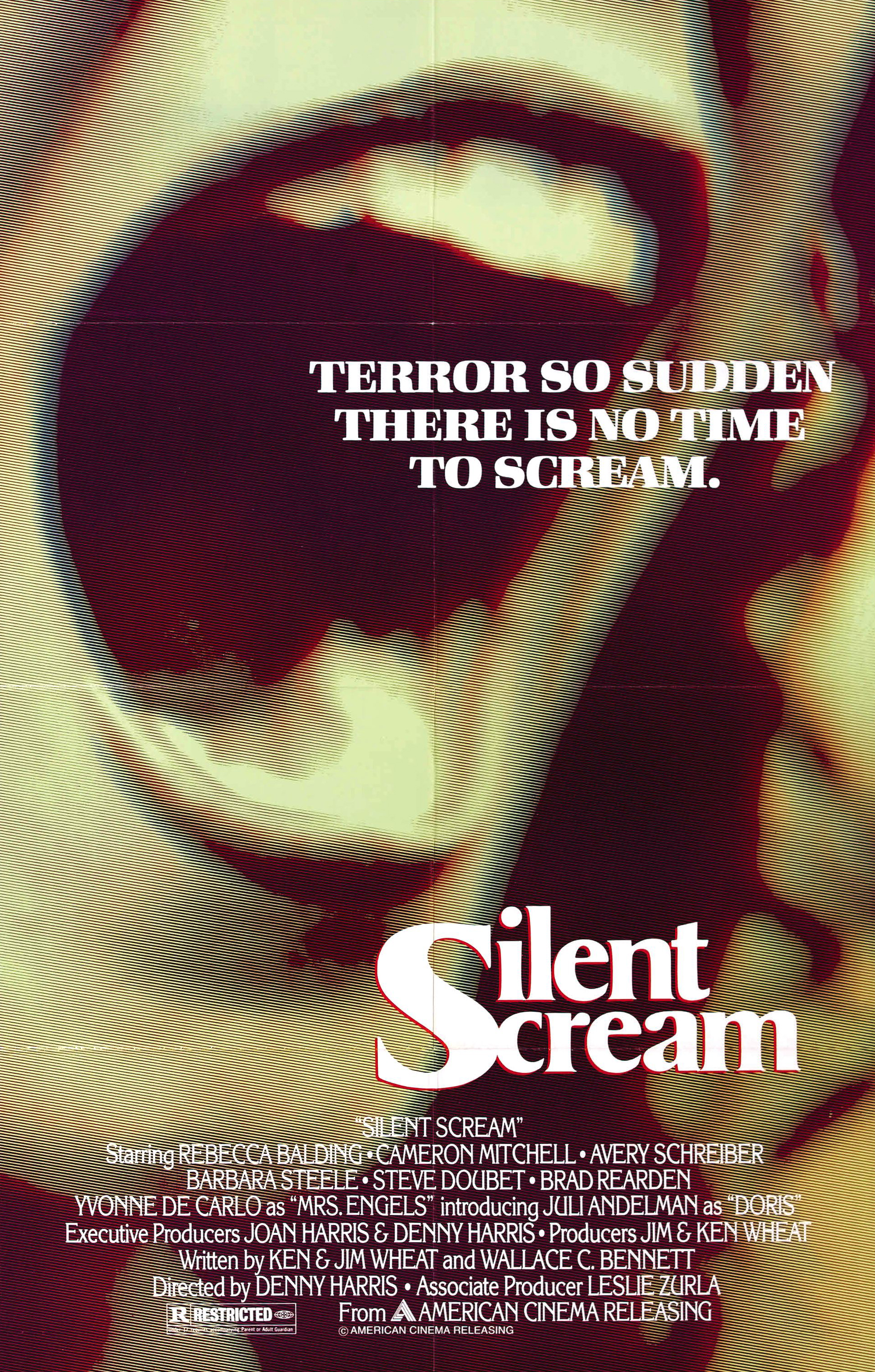 The Silent Scream (1979) starring Rebecca Balding on DVD on DVD