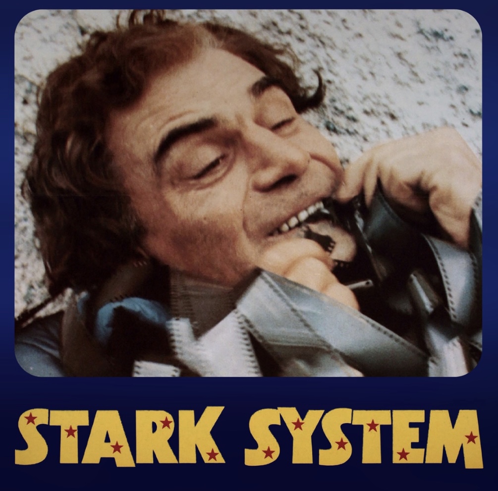 Stark System (1980) Screenshot 1 