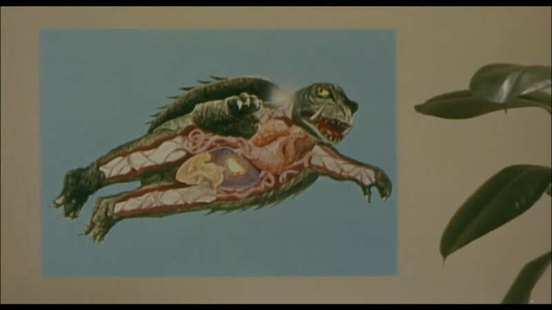 Gamera, Super Monster (1980) Screenshot 2