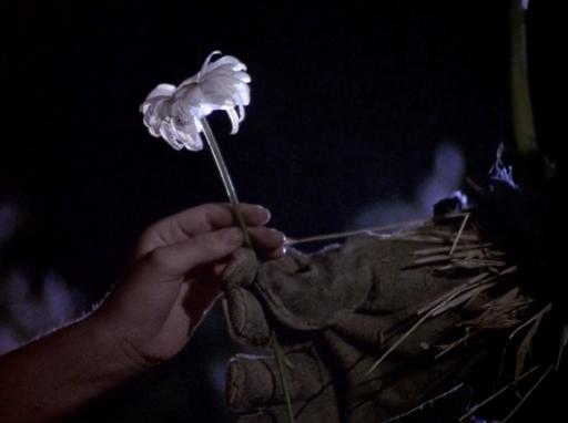 Dark Night of the Scarecrow (1981) Screenshot 5