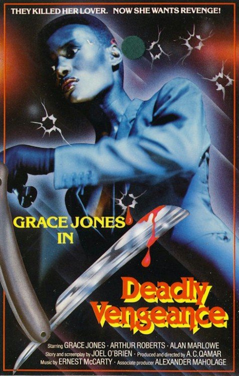 Deadly Vengeance (1981) starring Arthur Roberts on DVD on DVD