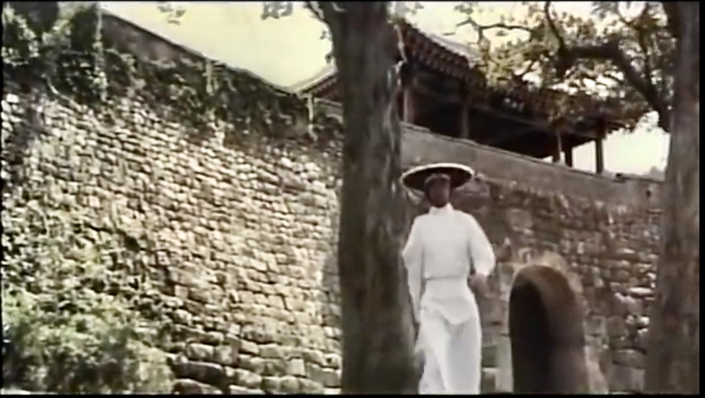 One-Armed Swordsman vs. Nine Killers (1976) Screenshot 3