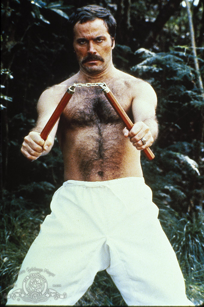 Enter the Ninja (1981) Screenshot 1 
