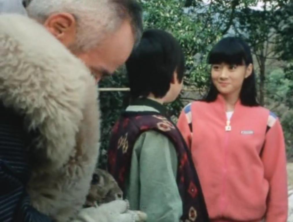 Dai Sentai Goggle-V (1982) Screenshot 1 