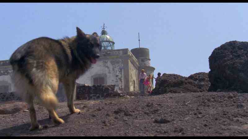 Human Animals (1983) Screenshot 1