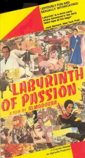 Labyrinth of Passion (1982) Screenshot 5