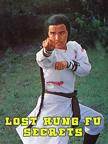 The Lost Kung Fu Secrets (1979) with English Subtitles on DVD on DVD