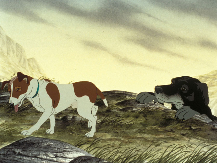 The Plague Dogs (1982) Screenshot 3 