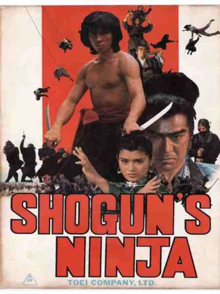 Ninja bugeicho momochi sandayu (1980) Screenshot 1