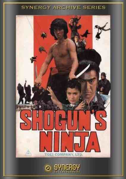Ninja bugeicho momochi sandayu (1980) Screenshot 2