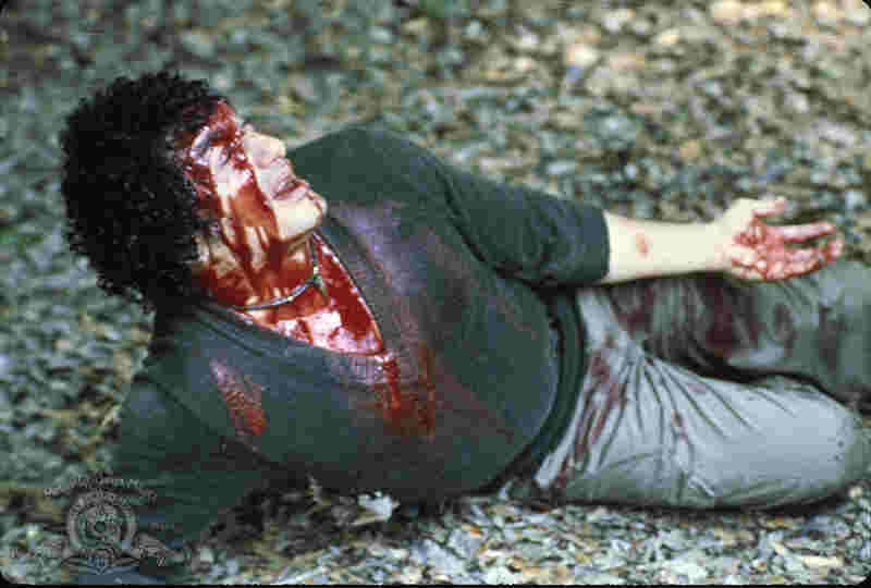 Swamp Thing (1982) starring Louis Jourdan on DVD DVD Swamp Thing (1982) Screenshot 4