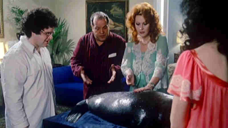 W la foca (1982) Screenshot 3