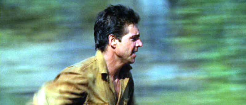 Buddies (1983) Screenshot 1