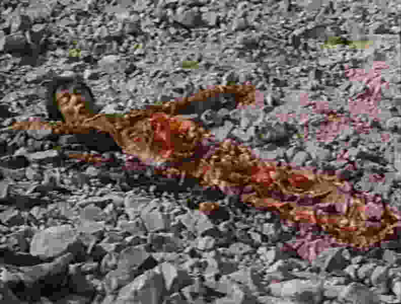 Lumaban ka, Satanas (1983) Screenshot 2