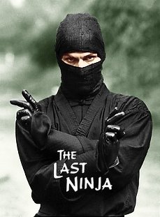 The Last Ninja (1983) starring Michael Beck on DVD on DVD