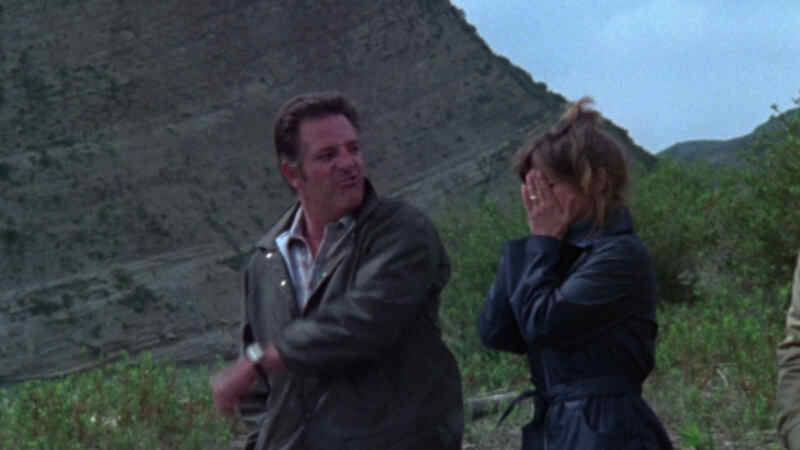 Scream (1981) Screenshot 2