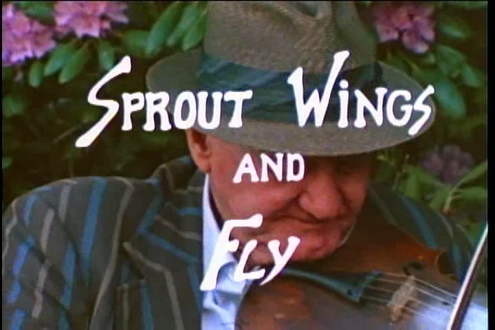 Sprout Wings and Fly (1983) Screenshot 5