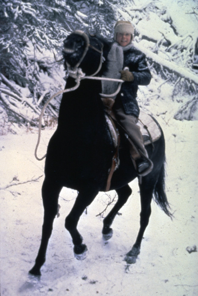The Wild Pony (1983) Screenshot 2
